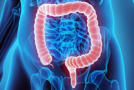 Researchers Identify New Targets For Immunotherapy In Colon Cancer